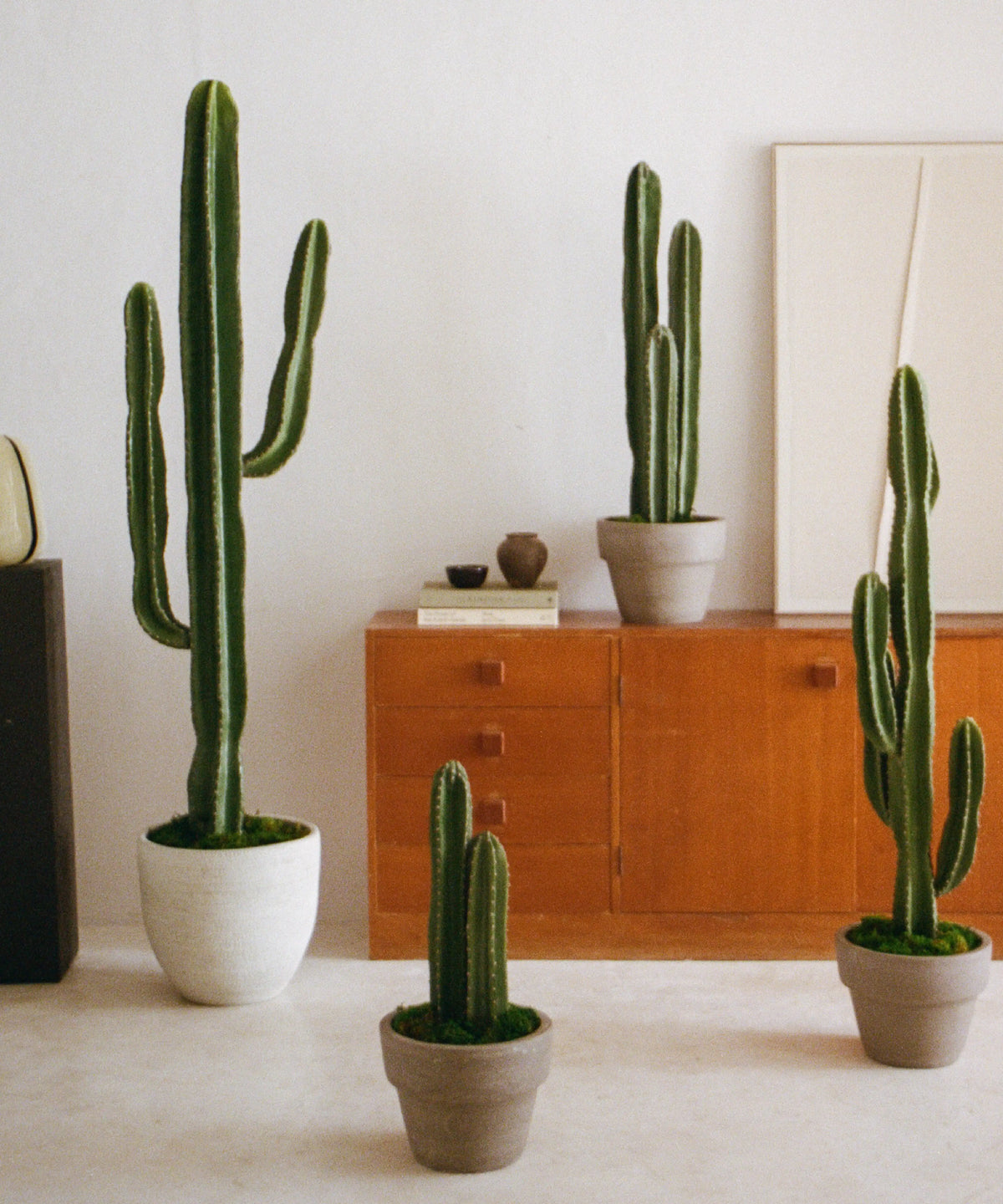 Room Garden, la nueva tendencia para tu casa