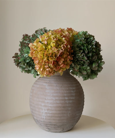 Hortensias Preservadas