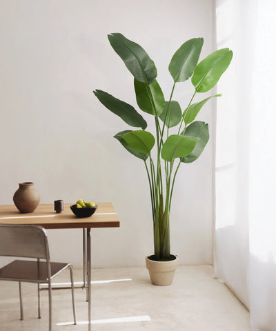 Plantes Artificielles à Grandes Feuilles