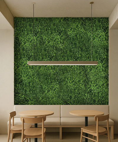 Jardin Vertical Tilo