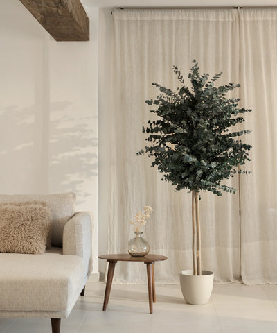 Collection de Arbres Preservados