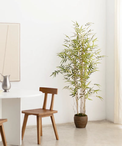 Plantes Artificielles pour le Salon