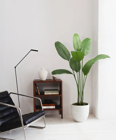 Plantes Artificielles pour l'Intérieur