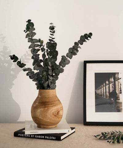 Plantes Preservées