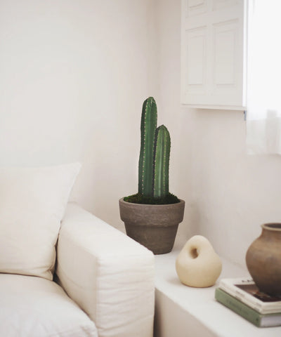 Petites plantes artificielles