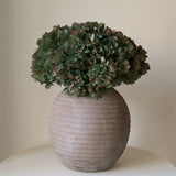 Ramo de Hortensias Preservadas