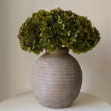 Ramo de Hortensias Preservadas