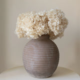 Ramo de Hortensias Preservadas
