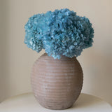 Ramo de Hortensias Preservadas