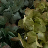 Ramo de Hortensias Preservadas