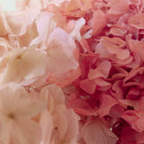 Ramo de Hortensias Preservadas