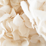 Ramo de Hortensias Preservadas