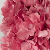 Ramo de Hortensias Preservadas