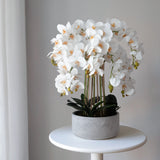 Orquídea artificial con Maceta de cerámica Sira