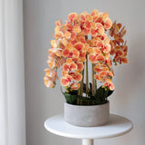 Orquídea artificial con Maceta de cerámica Sira