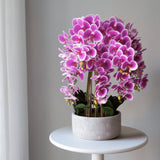 Orquídea artificial con Maceta de cerámica Sira