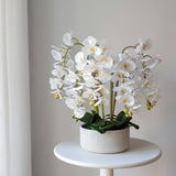 Künstliche Orchidee mit Mila Keramiktopf