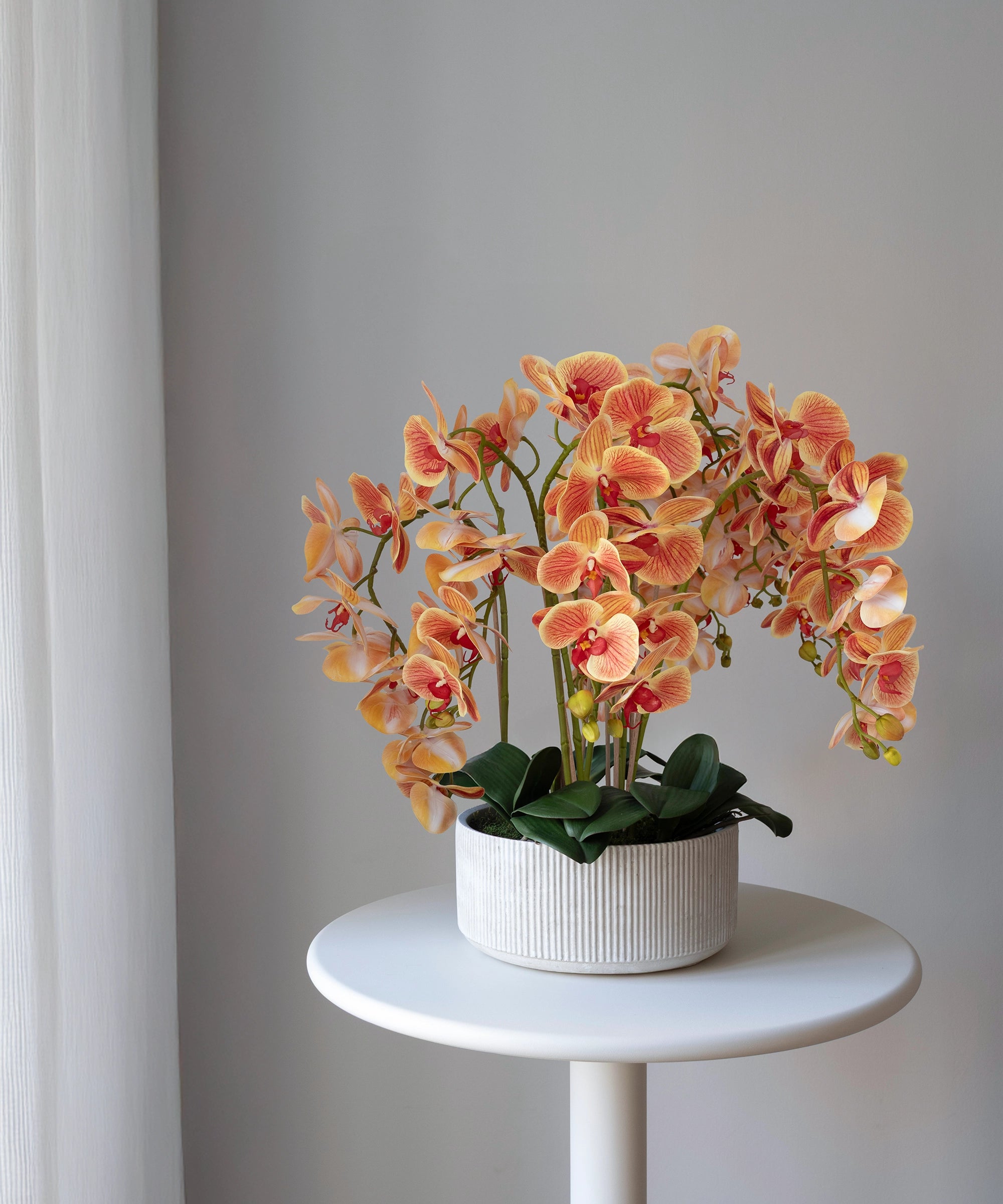 Orquídea artificial con Maceta de cerámica Mila