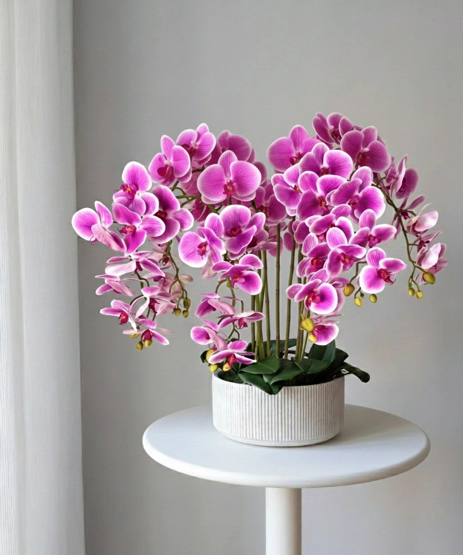 Orquídea artificial con Maceta de cerámica Mila