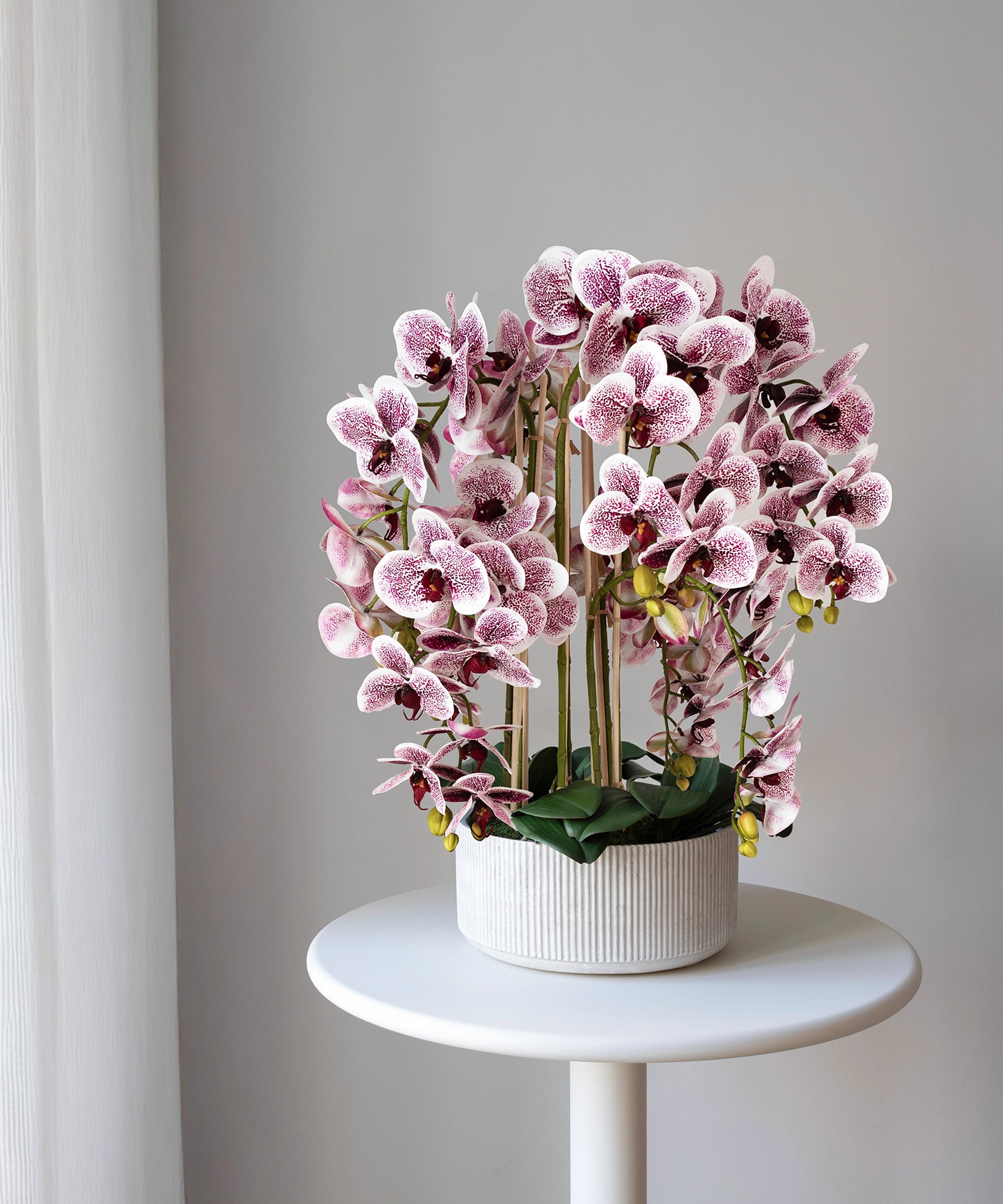 Orquídea artificial con Maceta de cerámica Mila