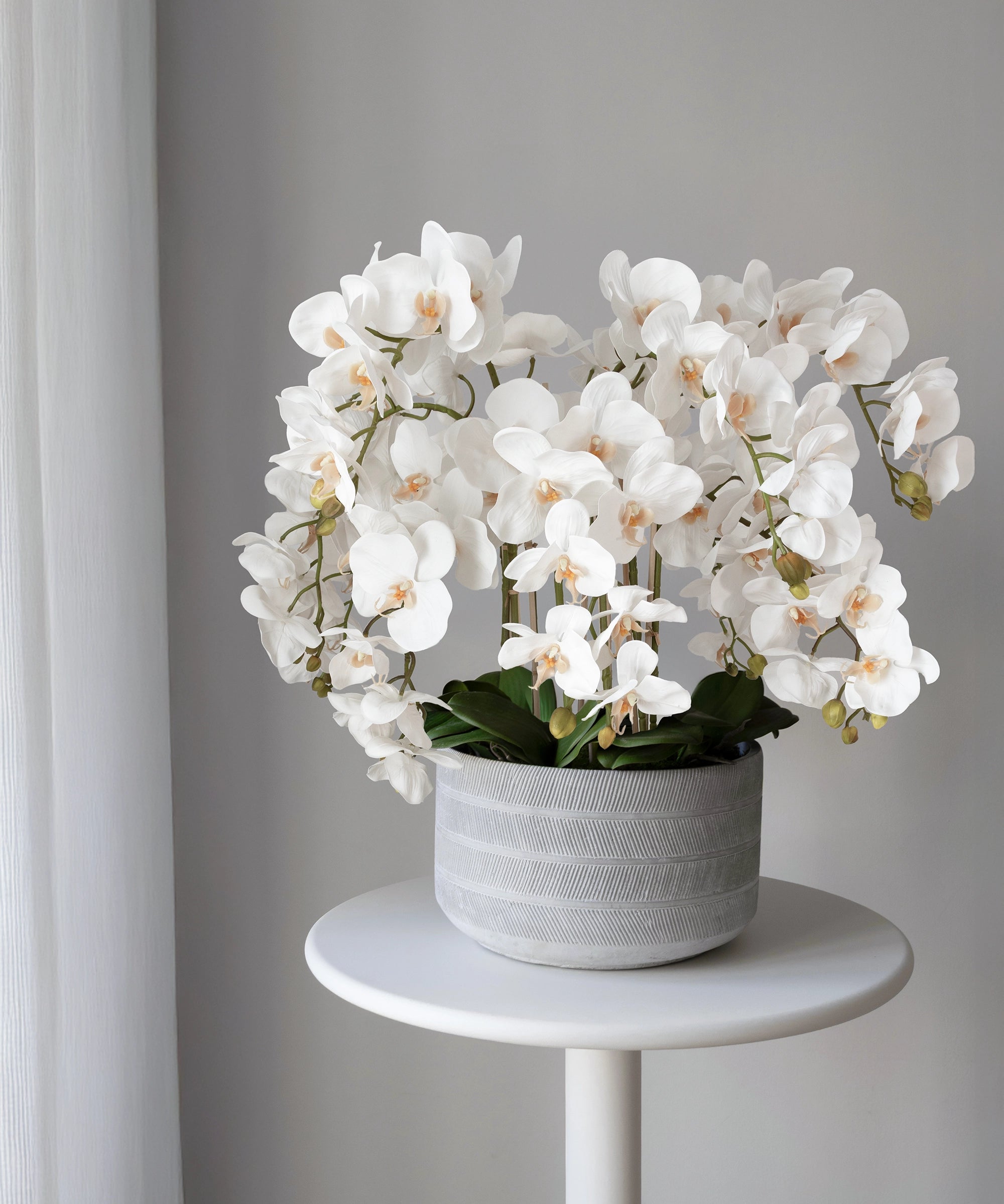 Lina artificial orchid with ceramic pot