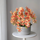 Orquídea artificial con Maceta de cerámica Lina