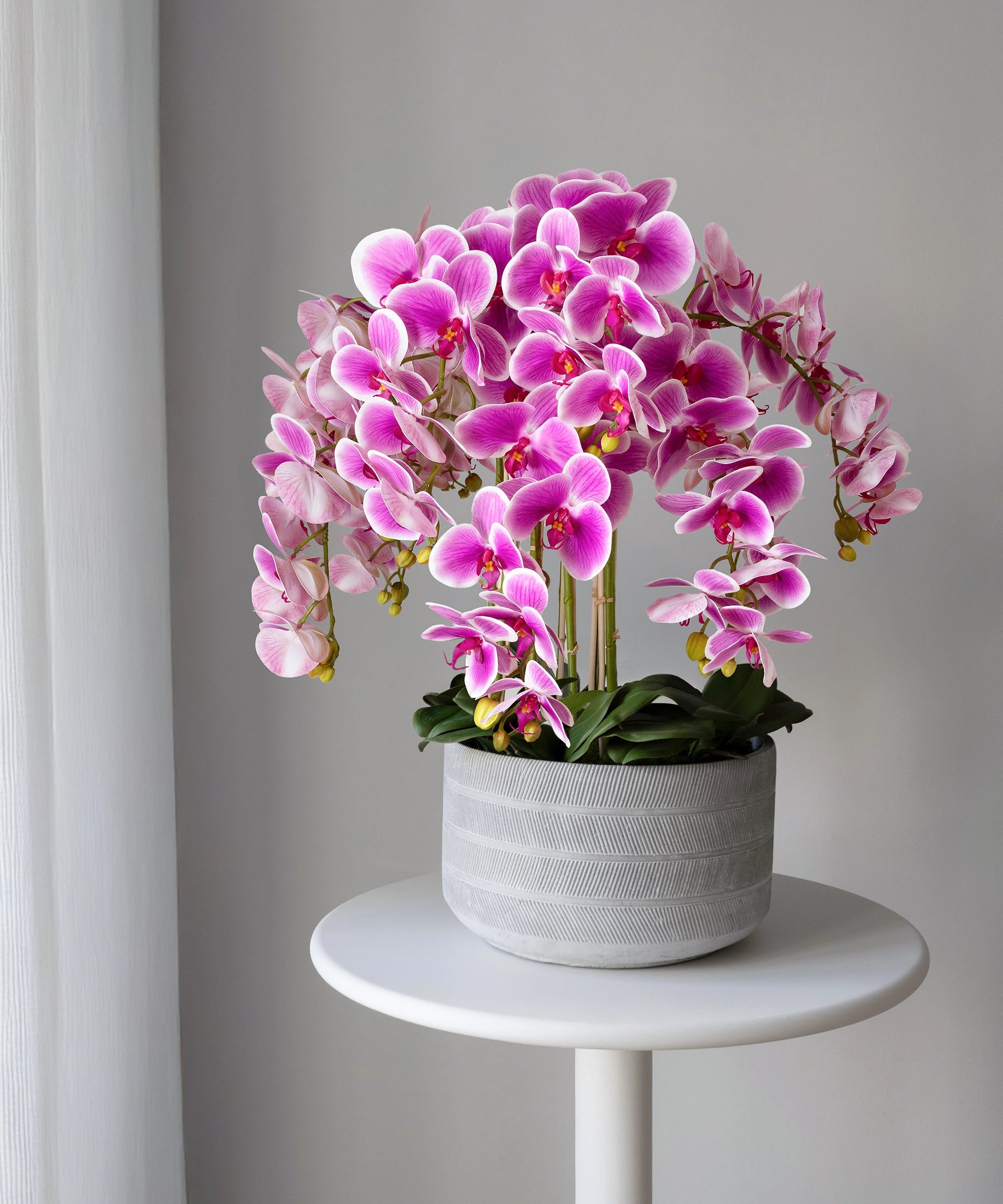 Lina artificial orchid with ceramic pot