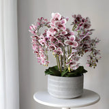 Orquídea artificial con Maceta de cerámica Lina