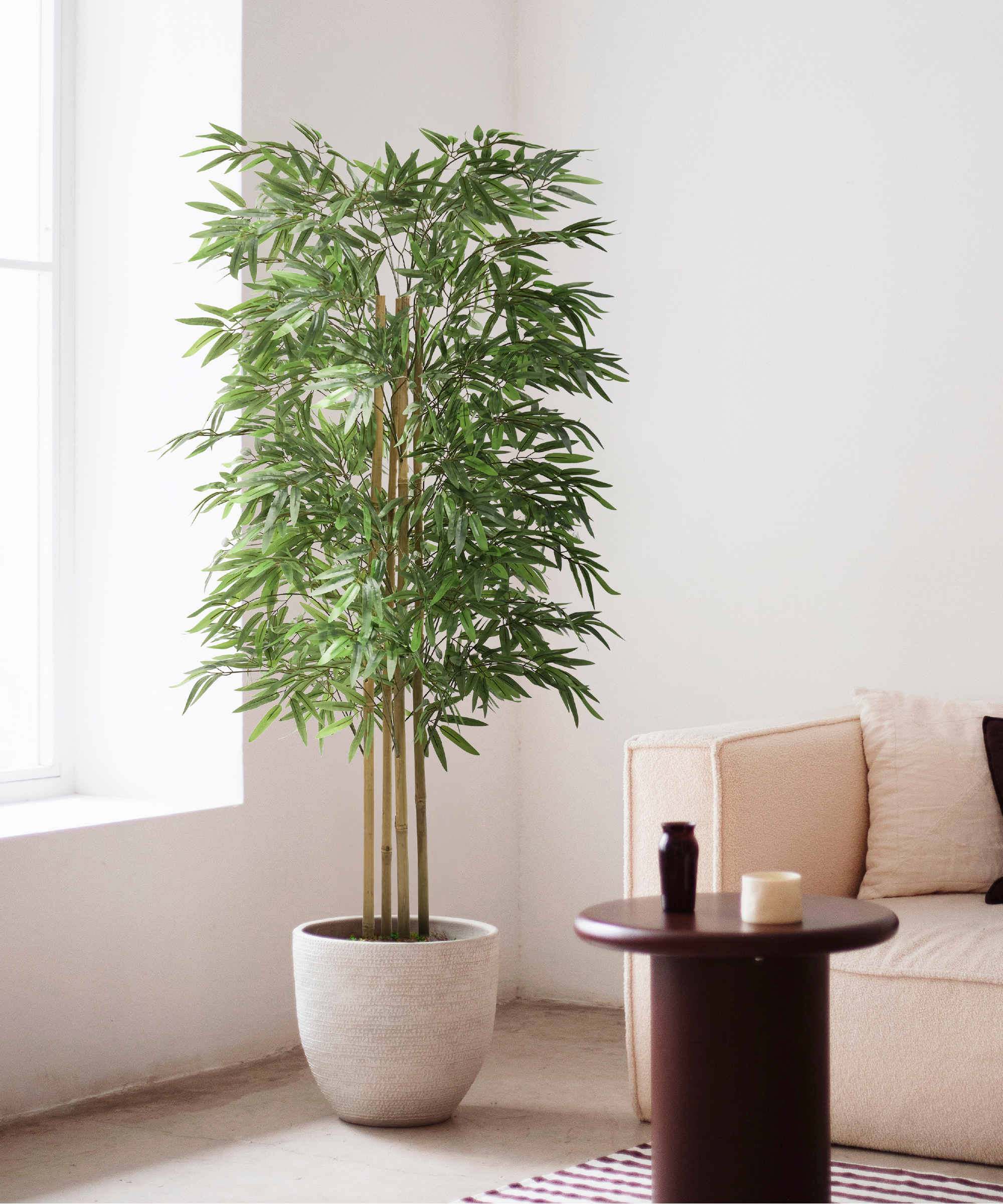Bambu 150 cm MAIA SHOP