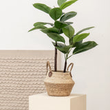 Ficus Elástica Artificial