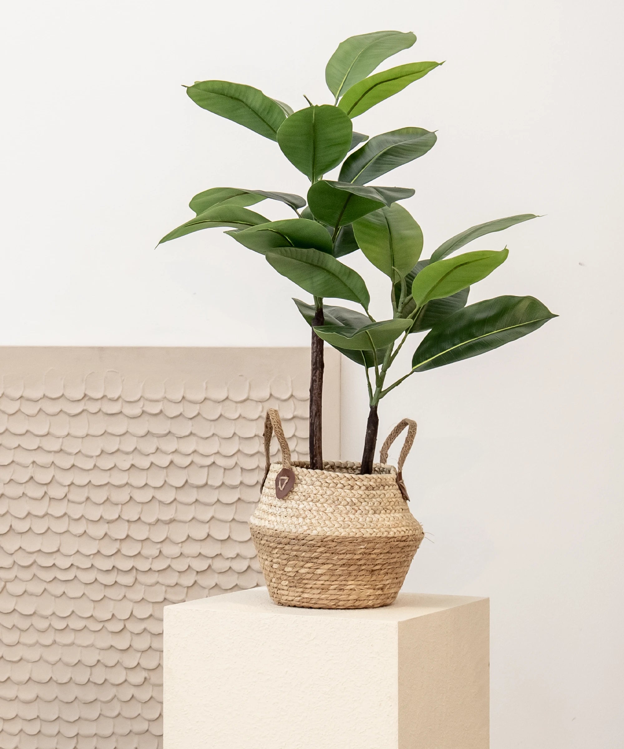 Artificial Ficus Elastica