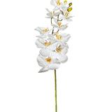 Artificial Orchid Stems