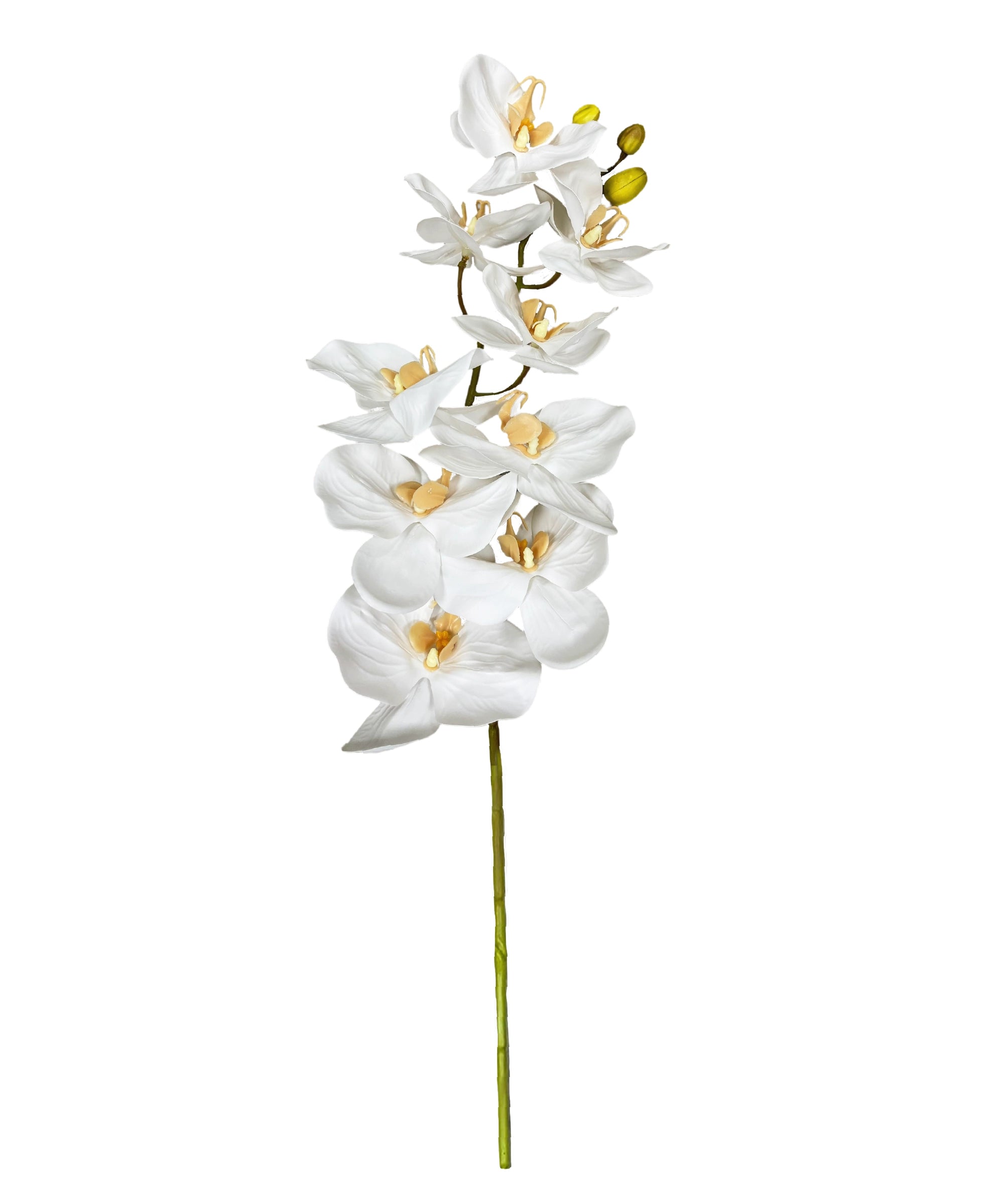 Artificial Orchid Stems
