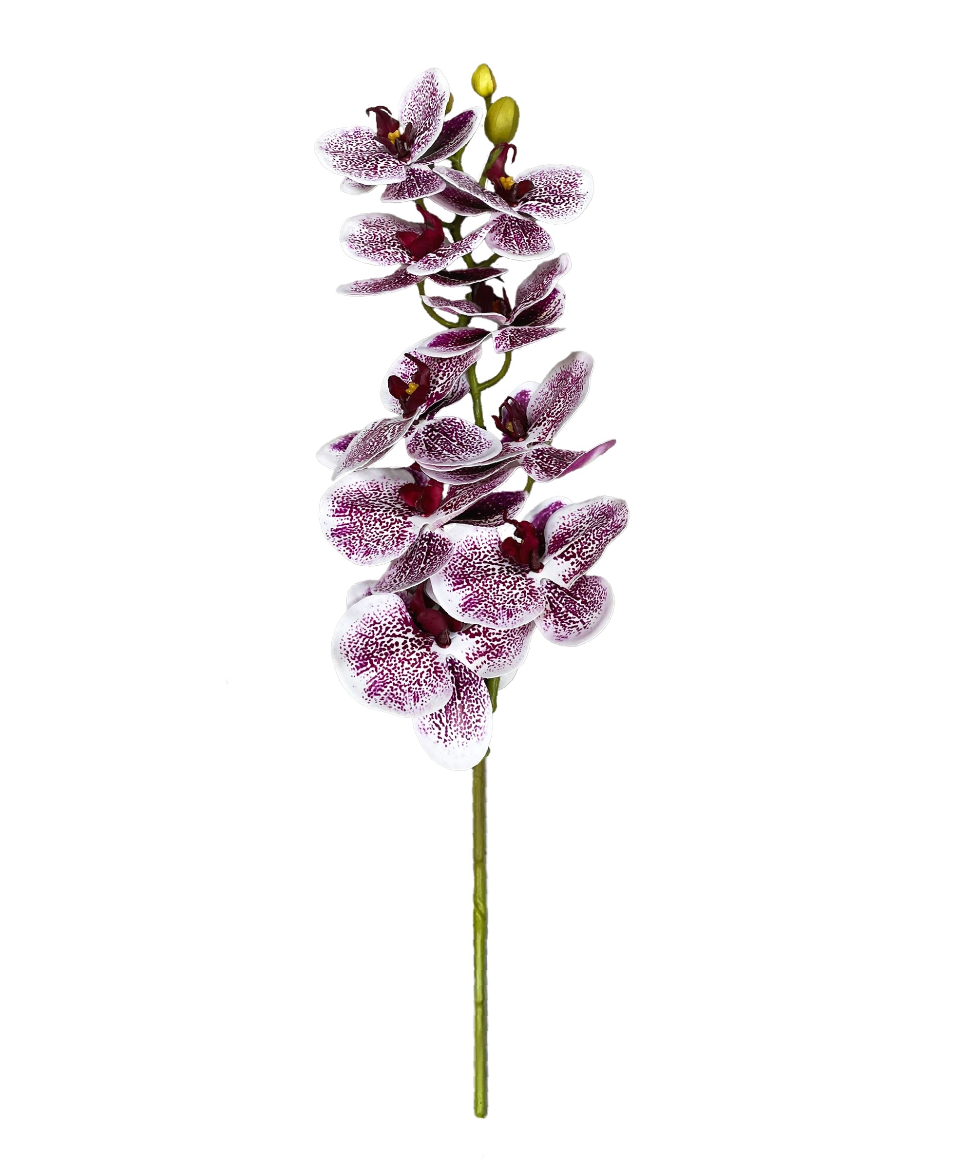 Artificial Orchid Stems
