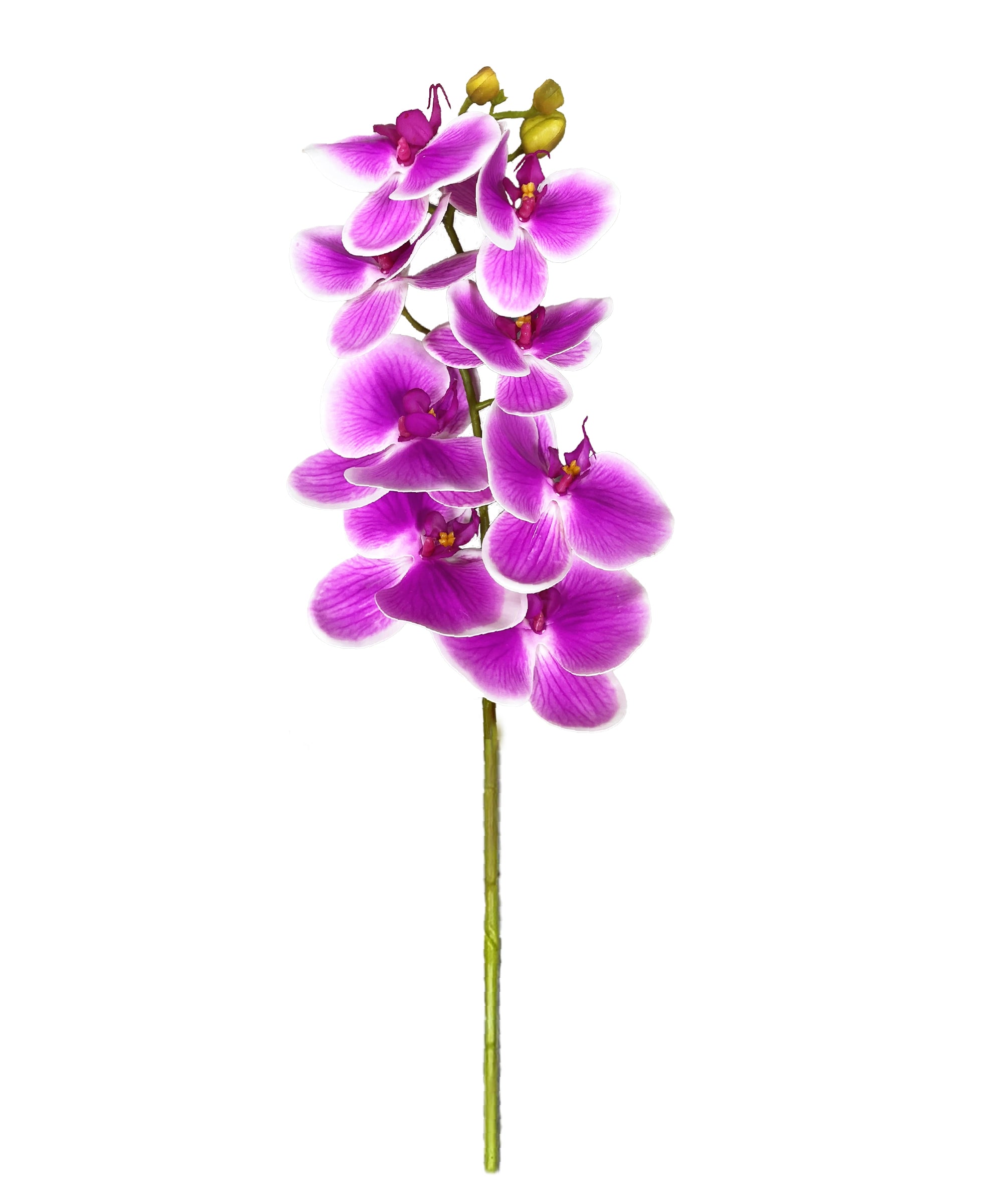 Artificial Orchid Stems
