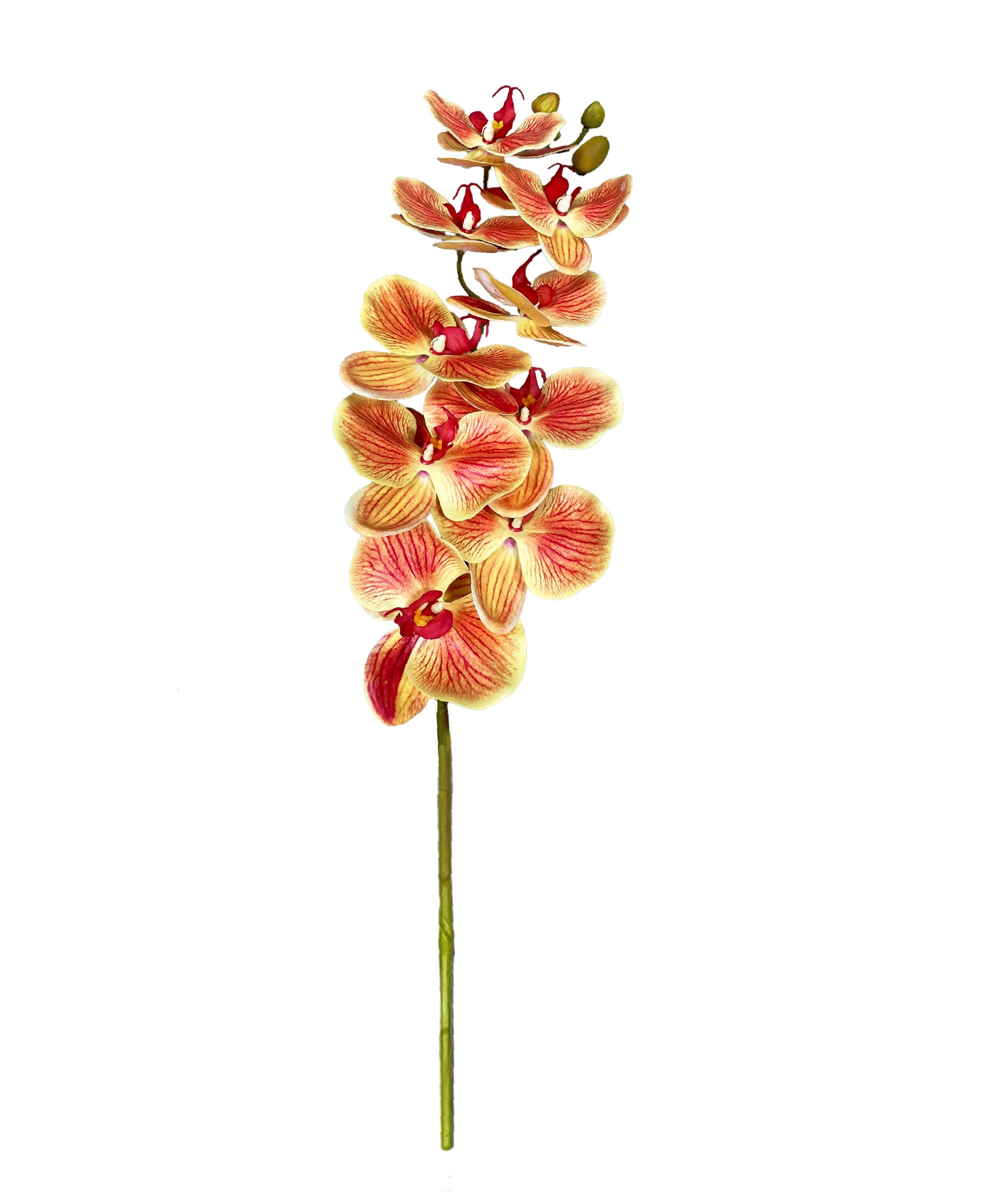Artificial Orchid Stems