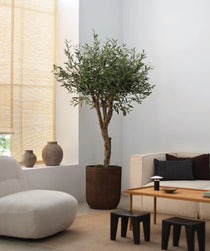 Olivo Artificial Centennial 180cm