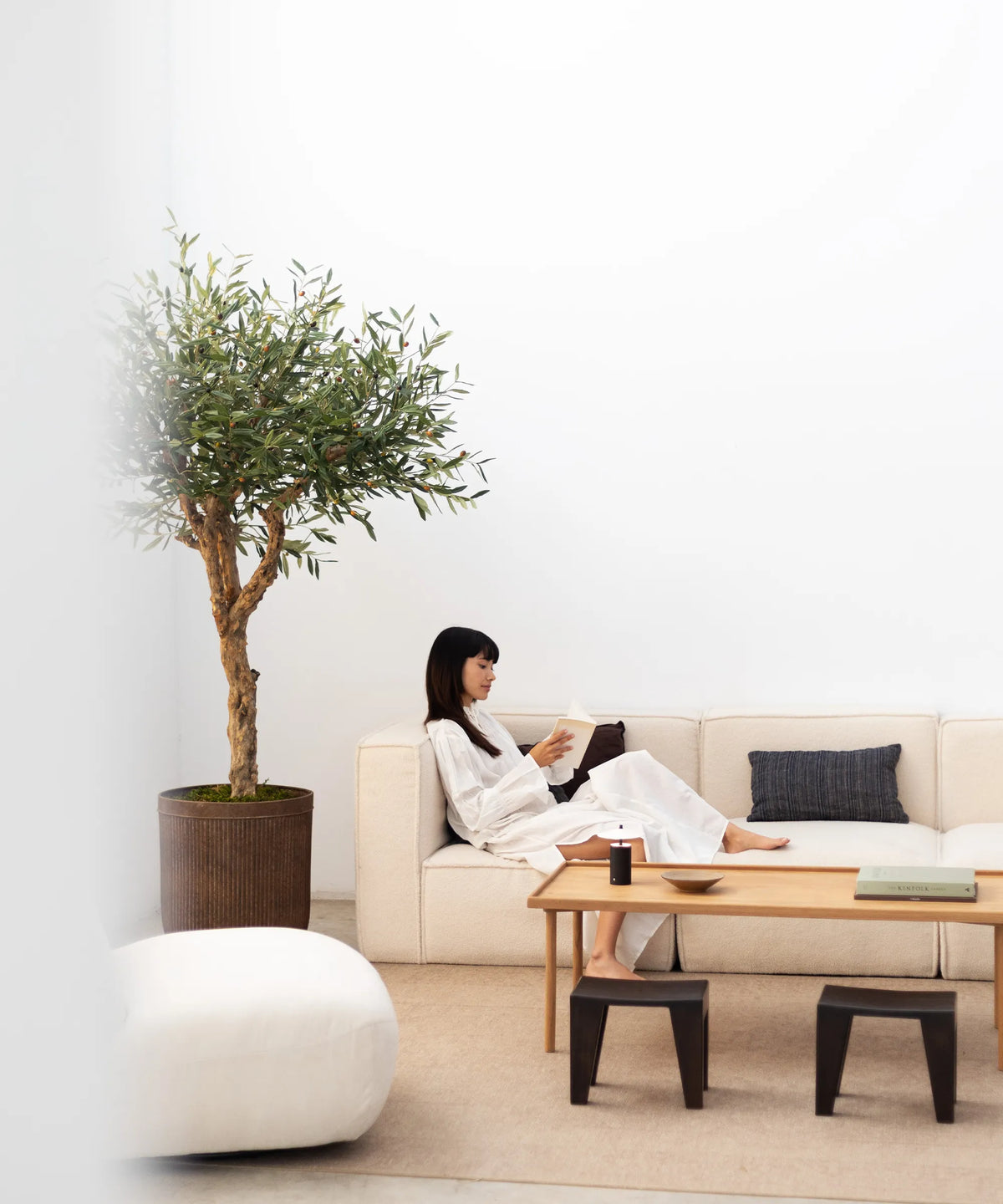 Olivo Artificial Centennial 180 cm MAIA SHOP lifestyle 