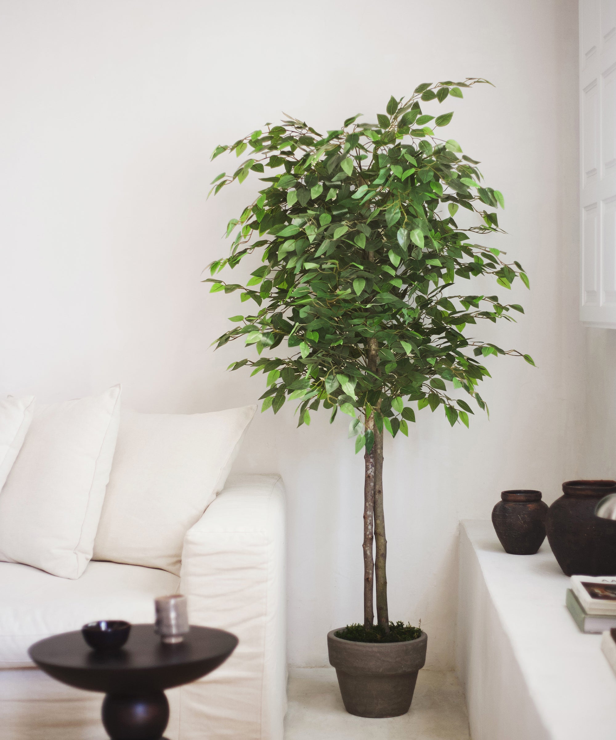 Ficus Artificial MAIA SHOP