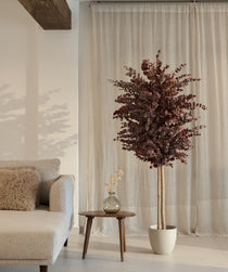 arbol preservado eucalipto essential burdeos