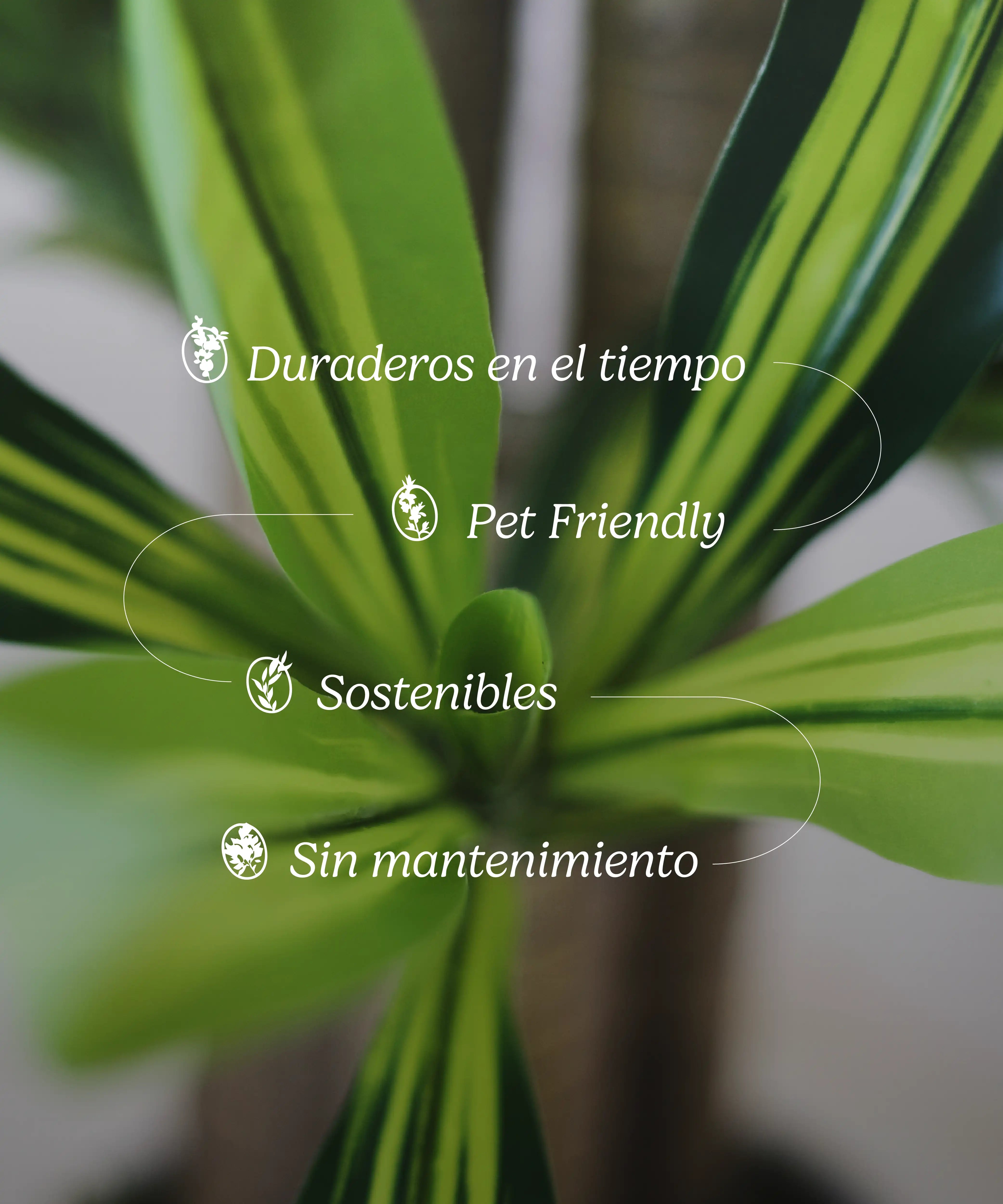 dracena artificial caracteristicas