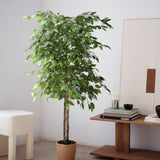 ficus artificial 150
